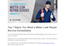 do professional SEO article writing and blog writing as your content writer